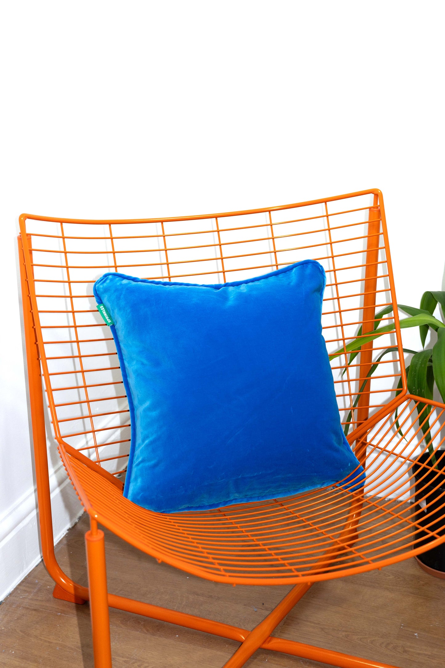 Velvet Cushion - Blue Raspberry