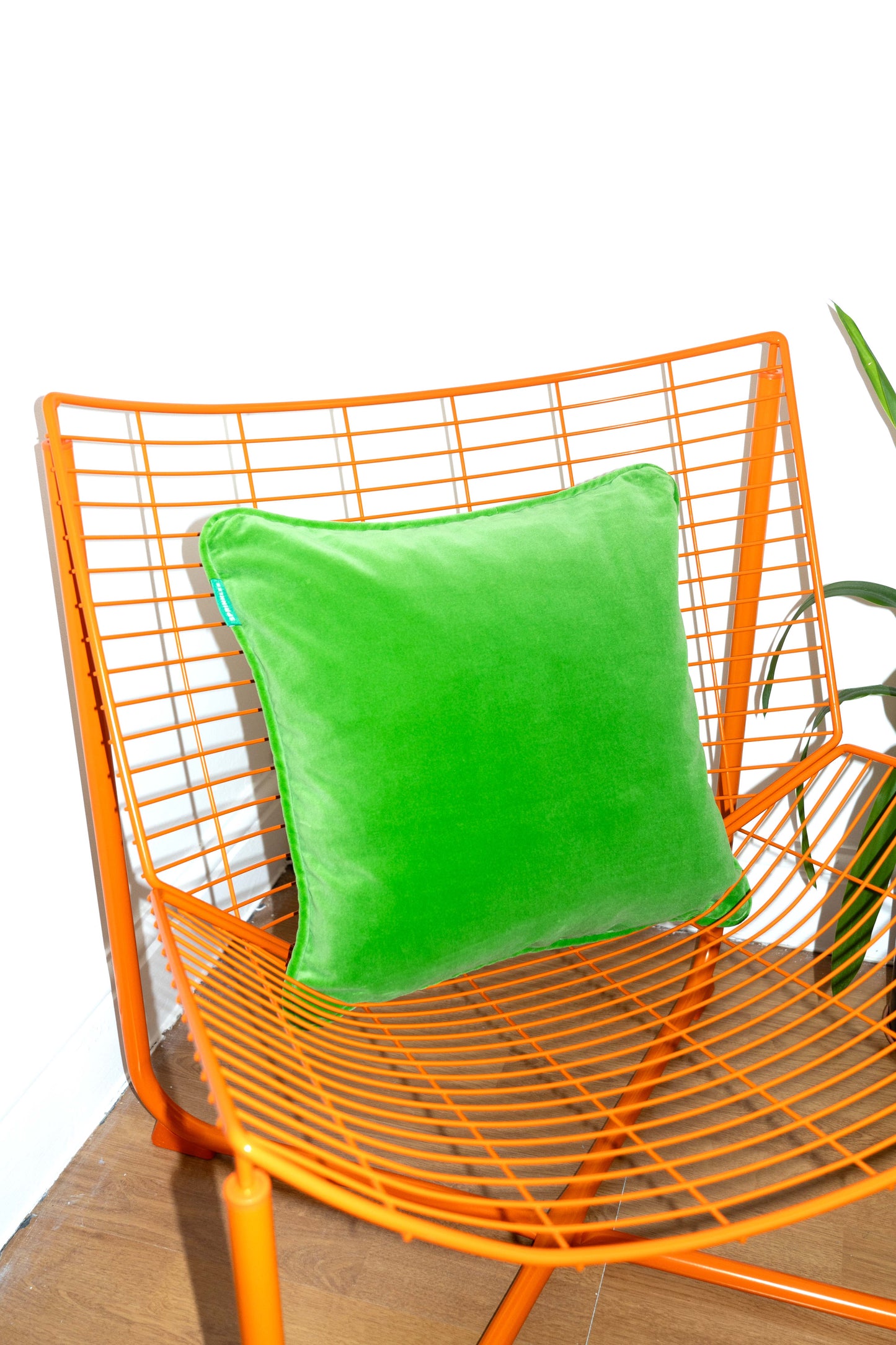 Velvet Cushion - Apple