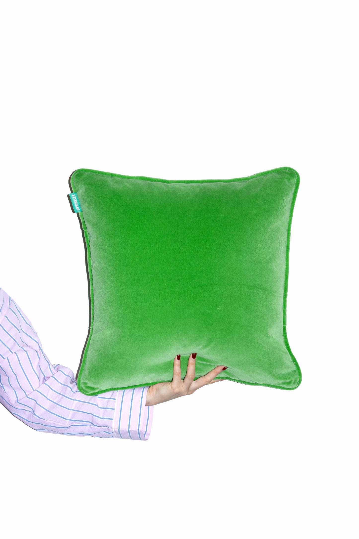 Velvet Cushion - Apple