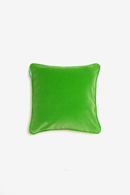Velvet Cushion - Apple