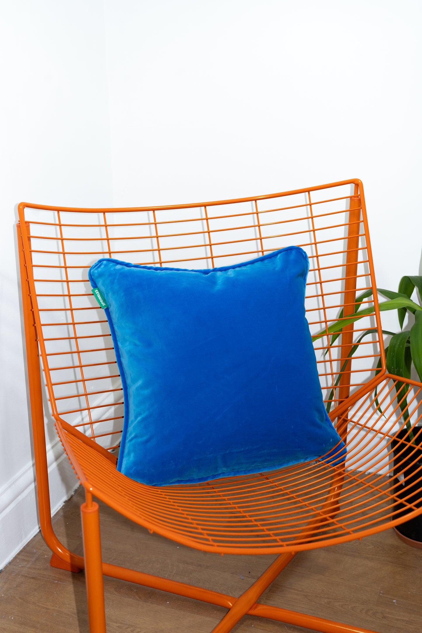 Velvet Cushion - Blue Raspberry