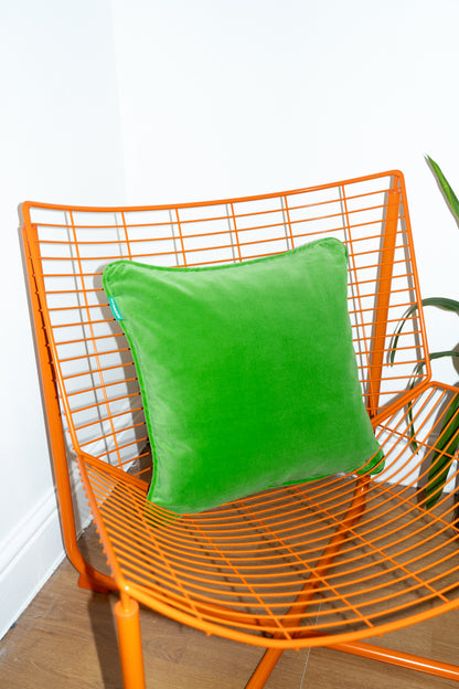 Velvet Cushion - Apple