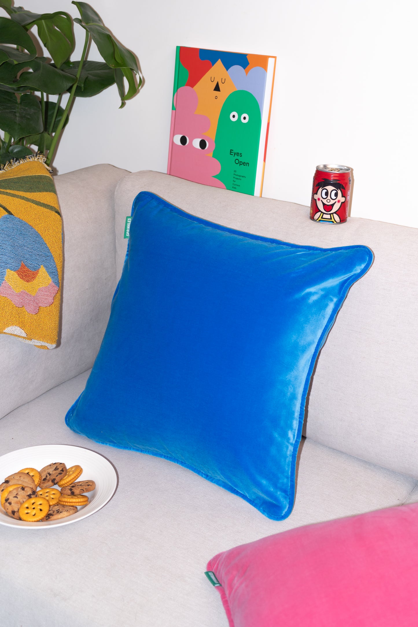 Velvet Cushion - Blue Raspberry