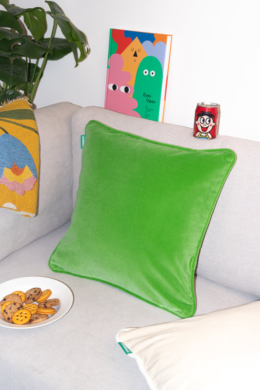 Velvet Cushion - Apple