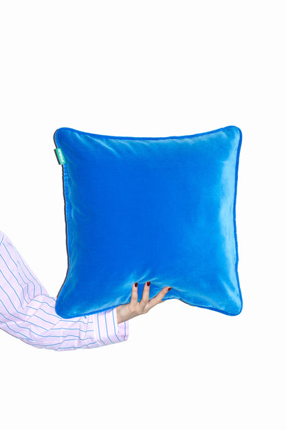Velvet Cushion - Blue Raspberry